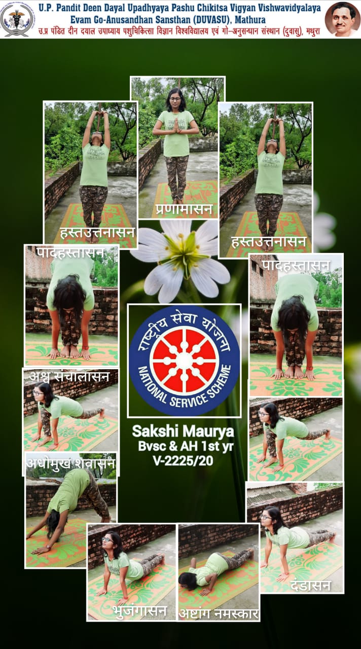 International Yoga Day 21 June 2021 in DUVASU Mathura