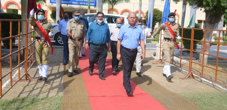 News image