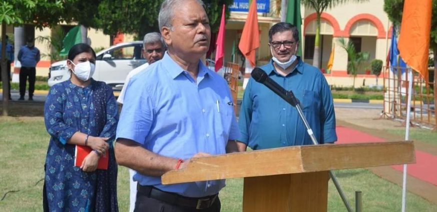 News image