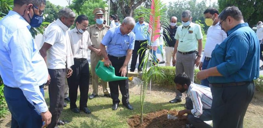 News image