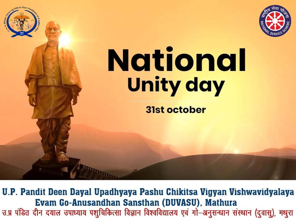 National Unity Day , DUVASU, Mathura