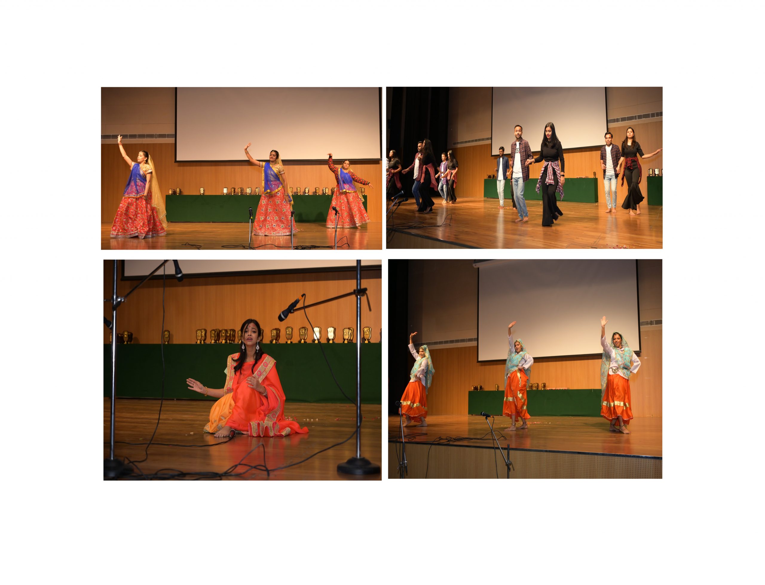 Cultural programme evening -At a glance