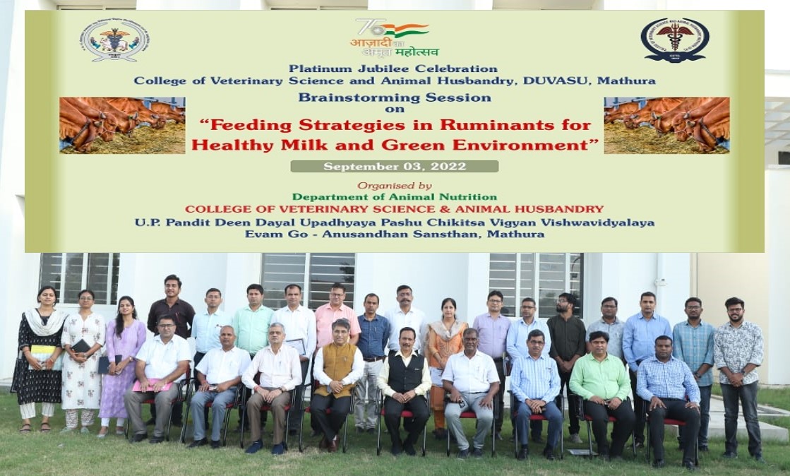 Department of Animal Nutrition organized brainstorming session on “Feeding Strategies in Ruminants for Healthy Milk and Green Environment” on 3rd September, 2022 on occasion of Platinum Jubilee Celebration of College of Veterinary Science and Animal Husbandry, Mathura