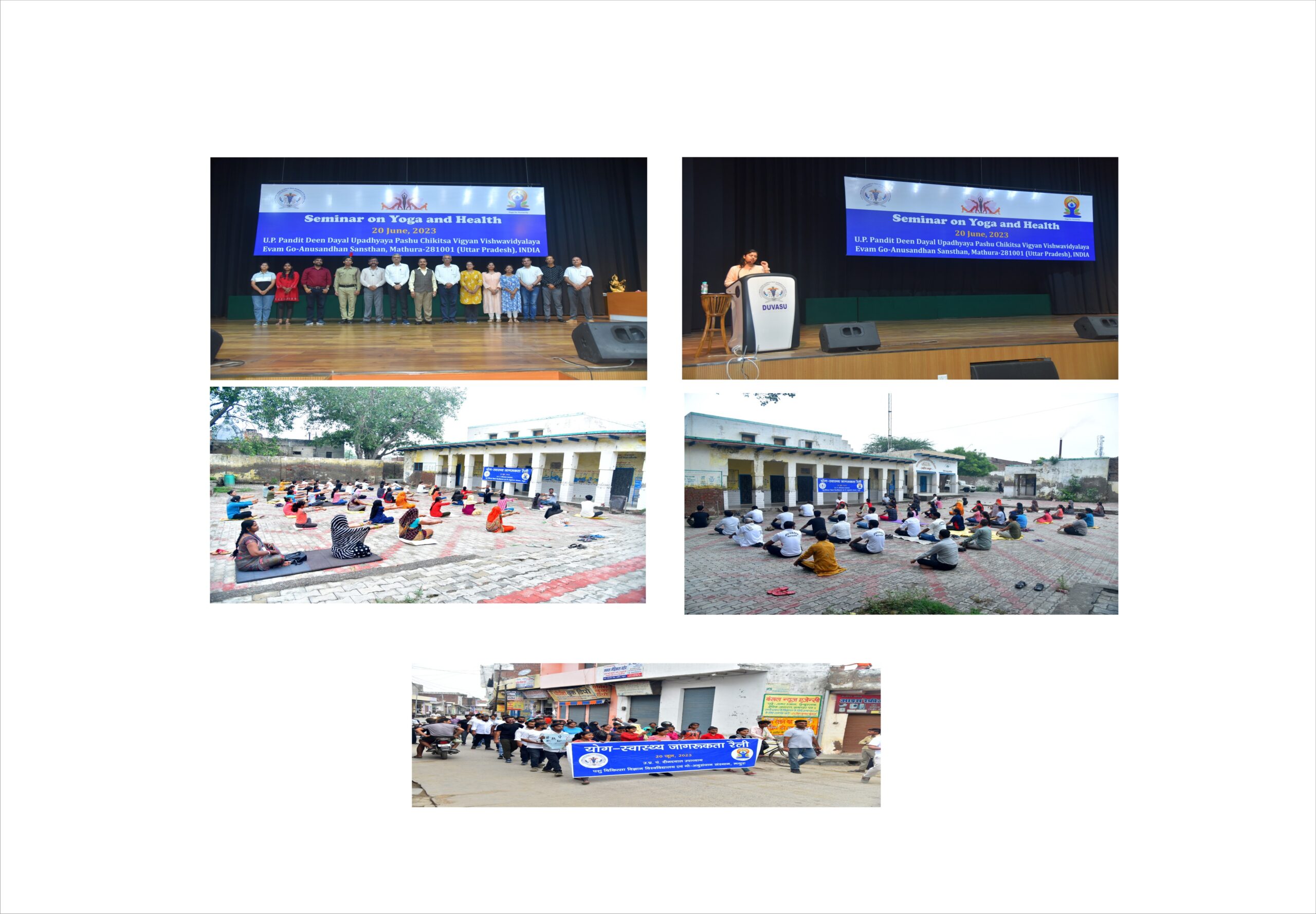 Yoga week celebration By DUVASU in Mathura and Abroad